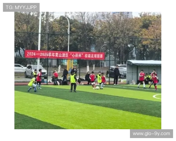 以足球外套山东为核心打造区域体育文化与青年活力新高地 以足球外套山东为核心打造区域体育文化与青年活力新高地