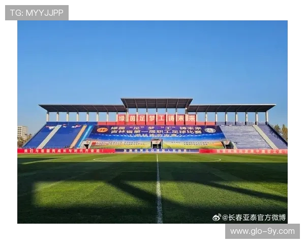 全国各省掀起足球热潮地域特色竞风云全民参与共绘绿茵盛景新图景