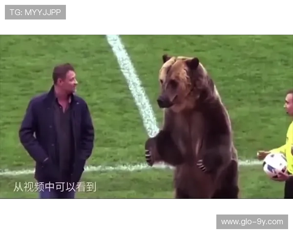 围绕狗熊岭足球队萝卜头的励志逆袭传奇故事精彩旅程全景呈现